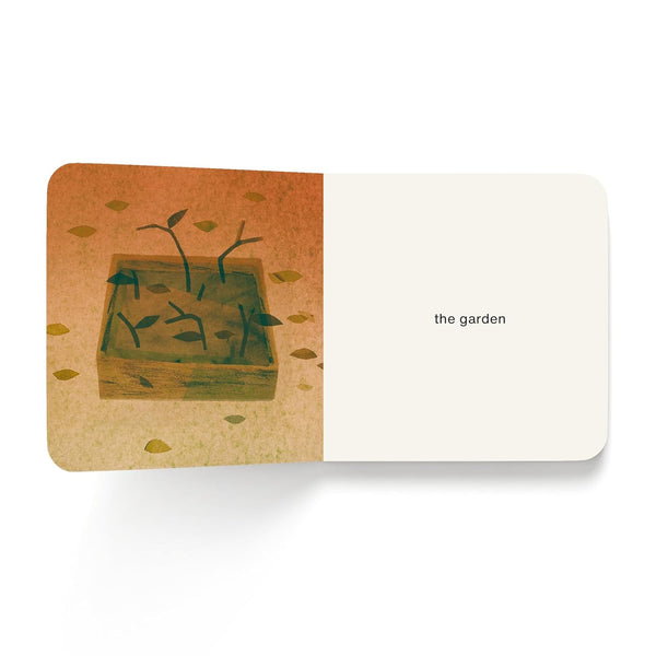 Now I See Fall - Board Book - Lady of the Lake
