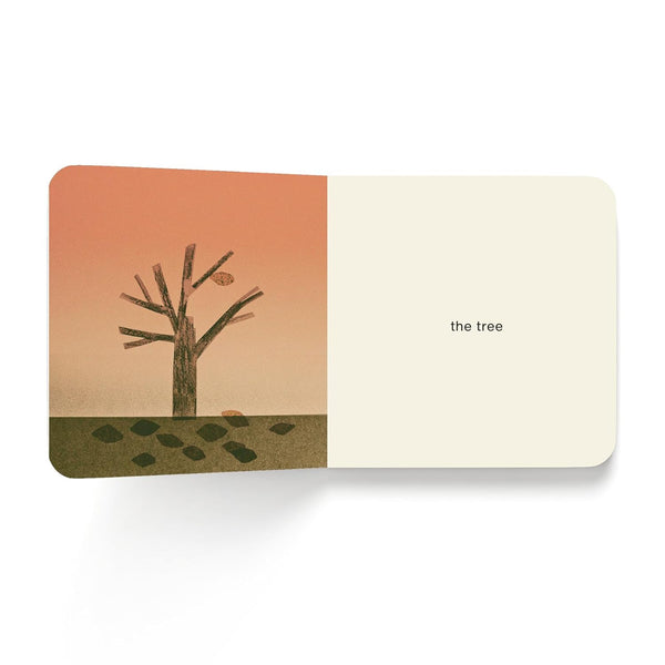 Now I See Fall - Board Book - Lady of the Lake