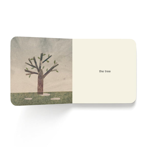 Now I See Spring - Board Book - Lady of the Lake