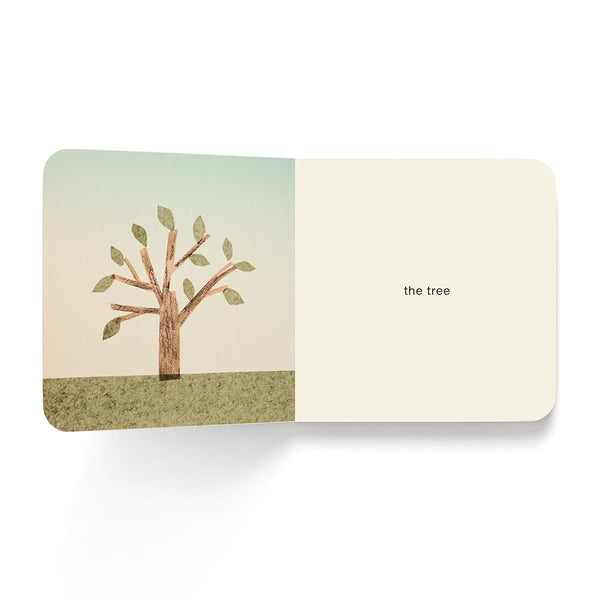 Now I See Summer - Board Book - Lady of the Lake