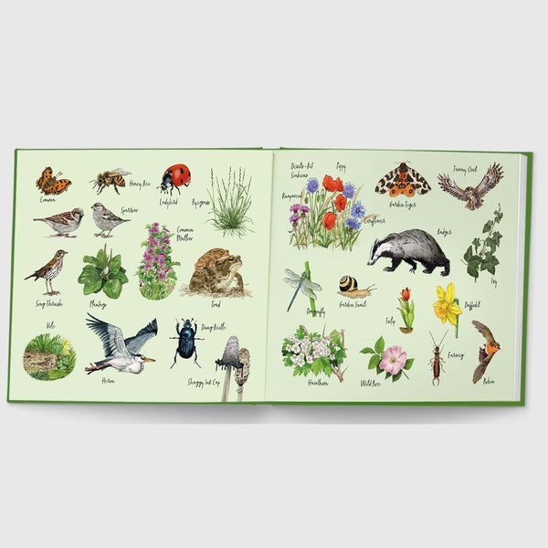 Our Wild Garden - Hardcover Book - Lady of the Lake