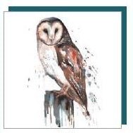 Owl - Greeting Card - Blank