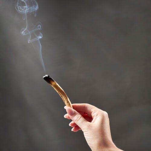 Palo Santo Wood Burning Bundle Box - Lady of the Lake