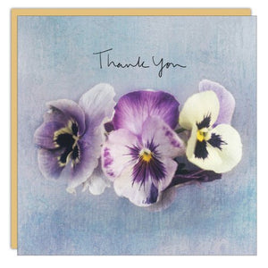 Pansies - Greeting Card - Thank You