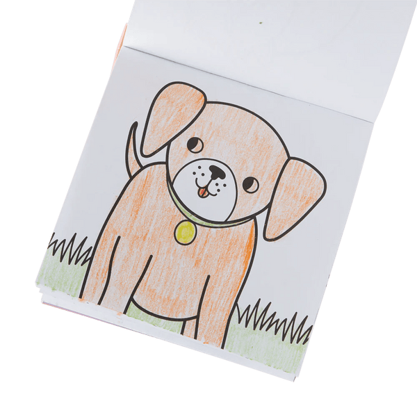 Pet Pals Carry Along! Colouring Book & Crayon Set - Lady of the Lake