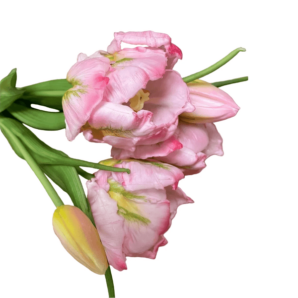 Pink Parrot Fresh Touch Tulip Bundle - Lady of the Lake