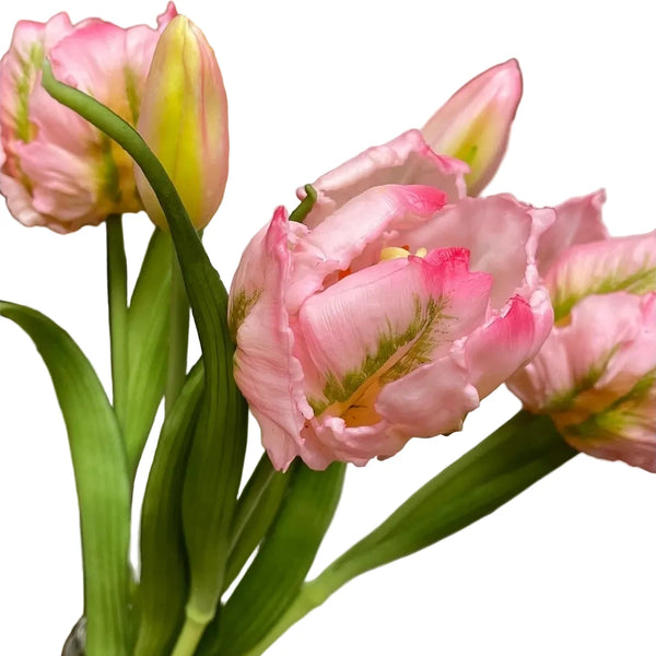 Pink Parrot Fresh Touch Tulip Bundle - Lady of the Lake