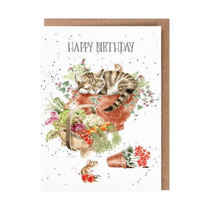 Purrrfect Birthday - Greeting Card - Birthday