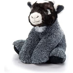 Pygmy Goat - Lady of the Lake