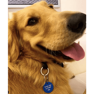 Quirky Dog Tag