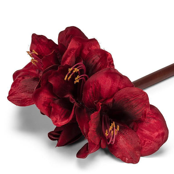 Red Amaryllis Stem - Lady of the Lake