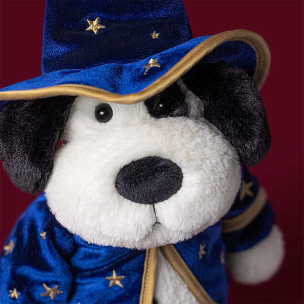 Rufferty Puppy Wizard - Lady of the Lake