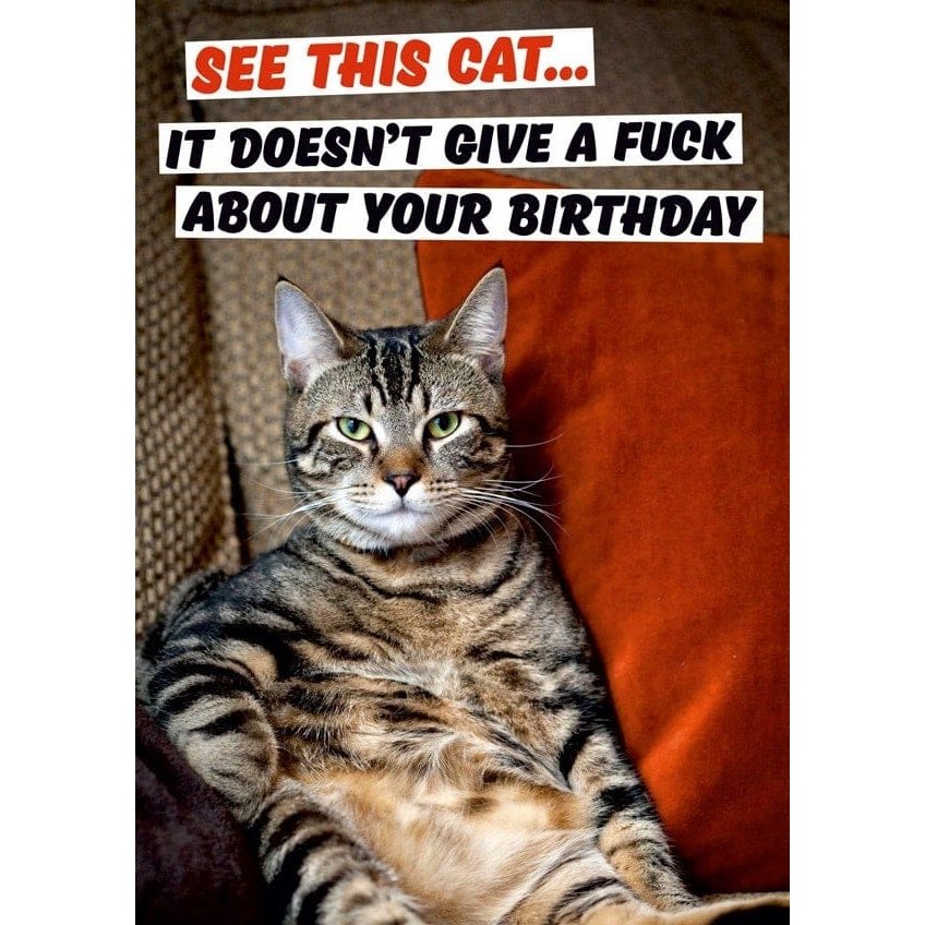 See This Cat - Greeting Card - Birthday