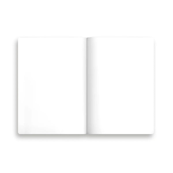 Set No. 6 - Set of 3 Notebooks - Lady of the Lake