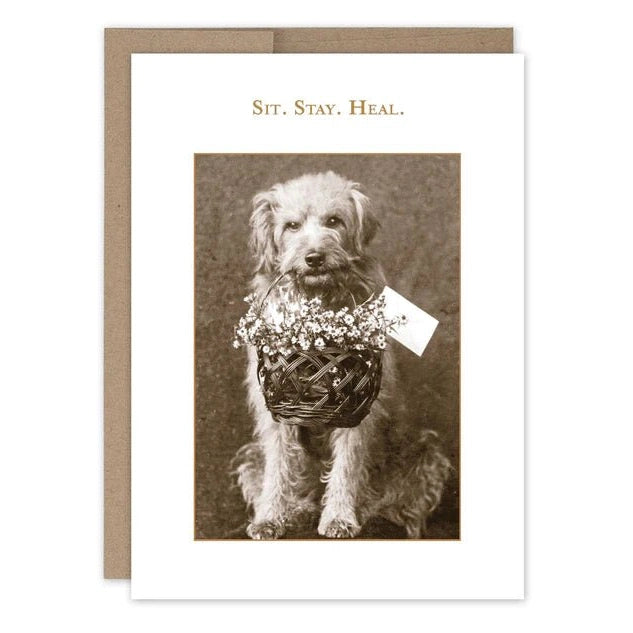 Sit. Stay. Heal. - Greeting Card - Get Well