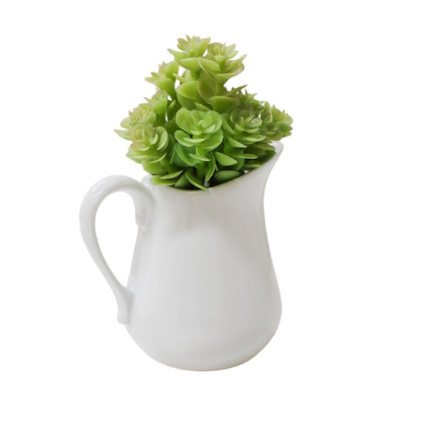 Soft Sedum Pick - Lady of the Lake
