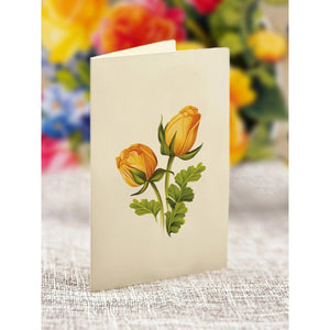 files/sorbet-roses-mini-pop-up-greeting-card-blank-881048.webp