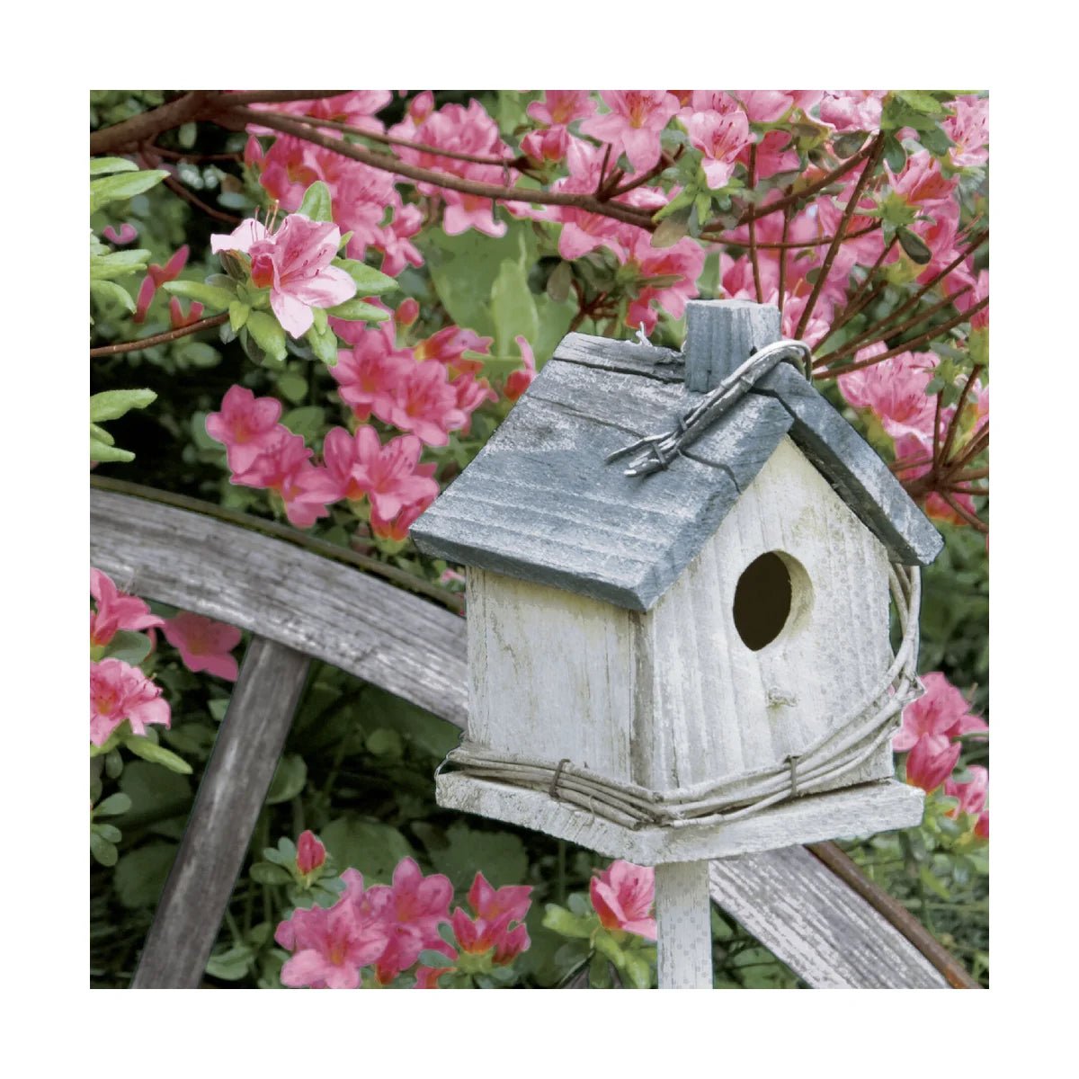 Spring Birdhouse - Paper Napkins - Lady of the Lake