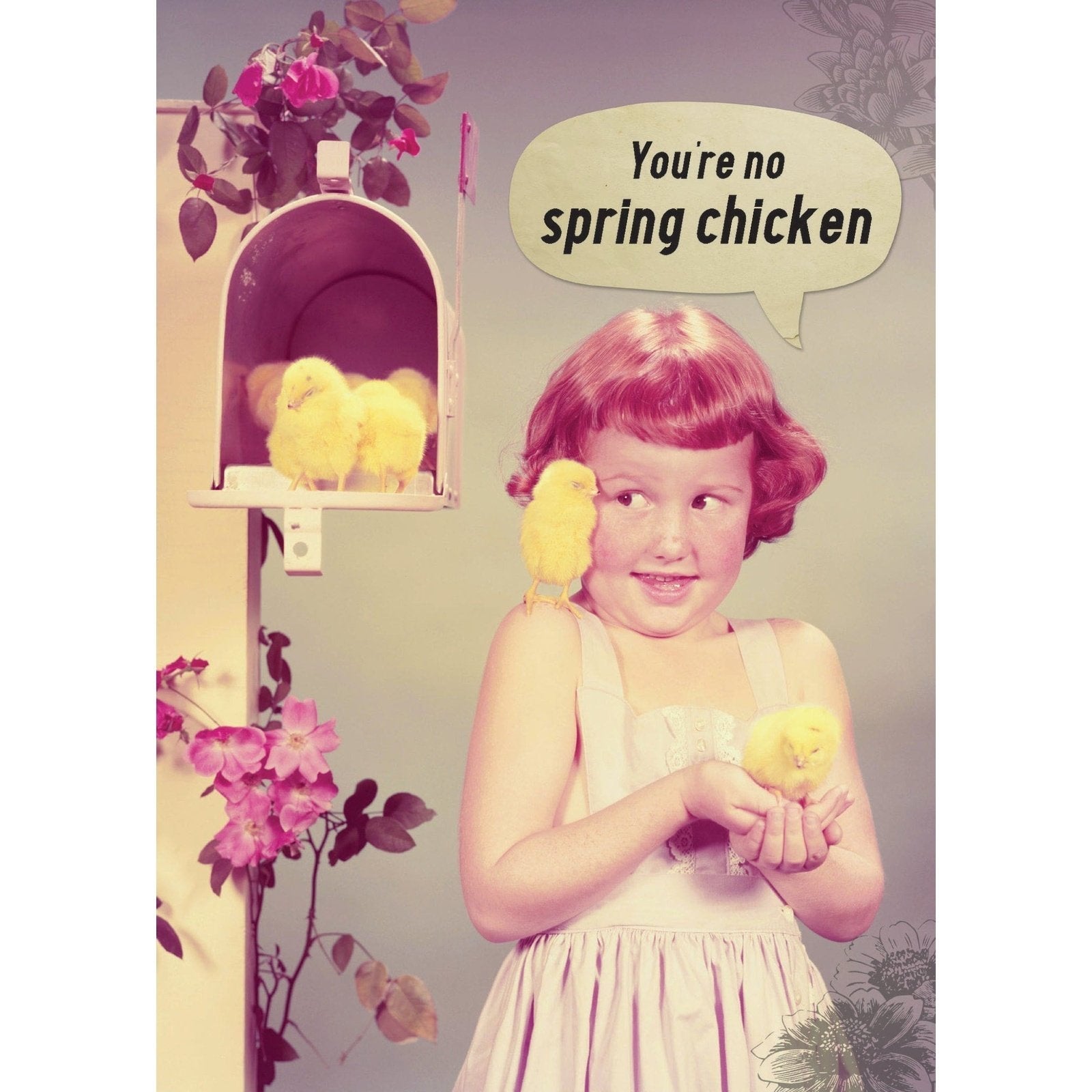 Spring Chicken - Greeting Card -Birthday