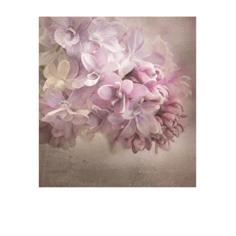 Spring Lilacs - Greeting Card - Sympathy