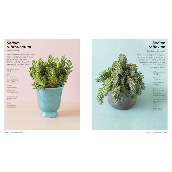 Succulents - Paperback Book - Lady of the Lake