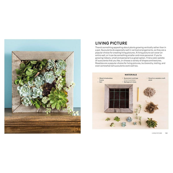 Succulents - Paperback Book - Lady of the Lake