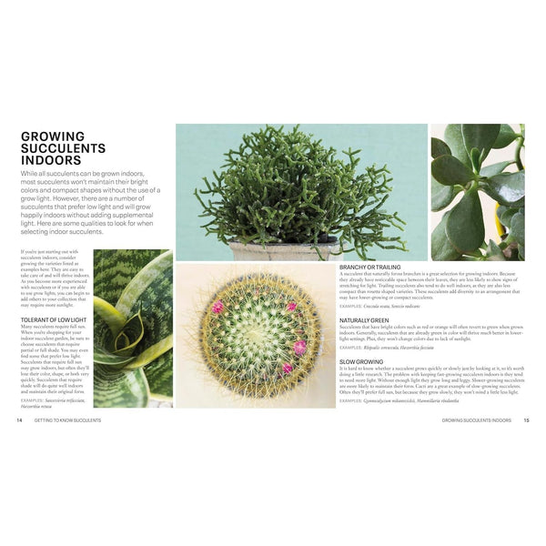 Succulents - Paperback Book - Lady of the Lake