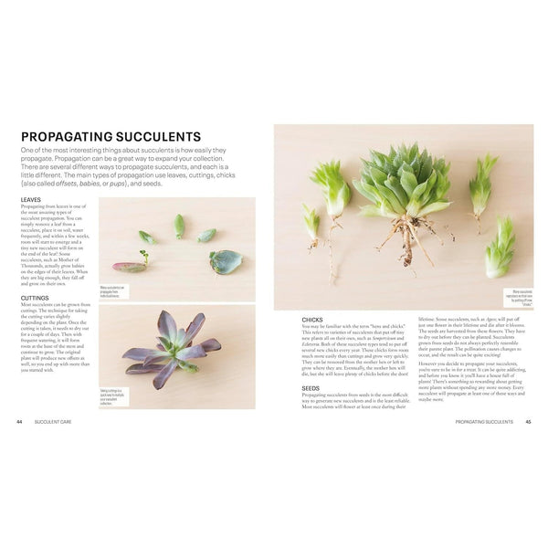 Succulents - Paperback Book - Lady of the Lake