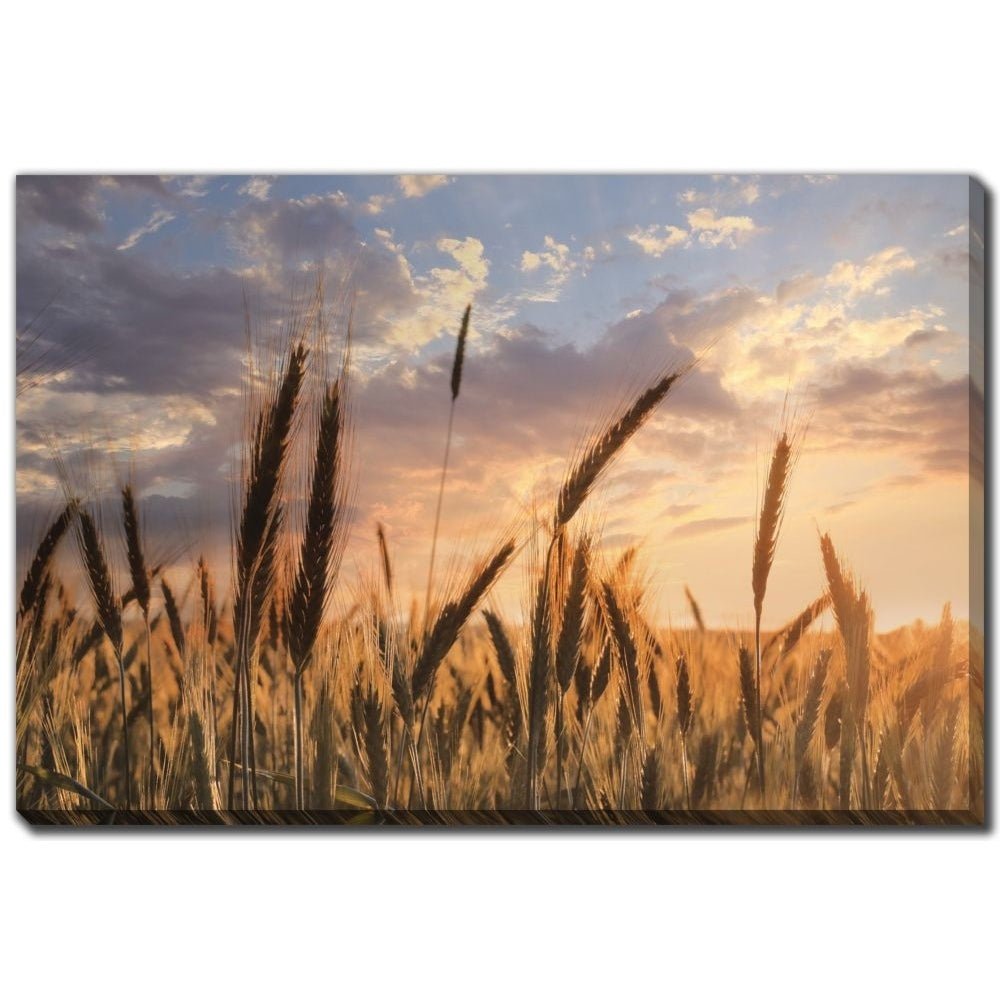 Summer Field - Printed Canvas