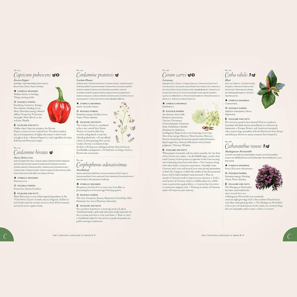 The Complete Language Of Herbs - Hardcover Book - Lady of the Lake