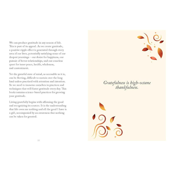 The Little Book Of Gratitude - Hardcover Book - Lady of the Lake