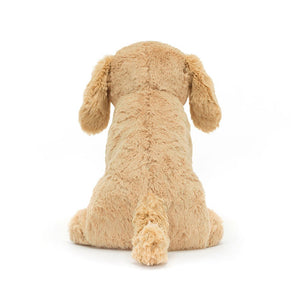 files/tilly-golden-retriever-9700138.jpg