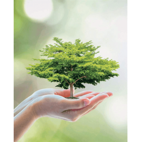 Tree In Hands - Greeting Card - Blank