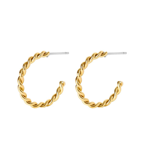 Twisted Hoop Earrings - Lady of the Lake