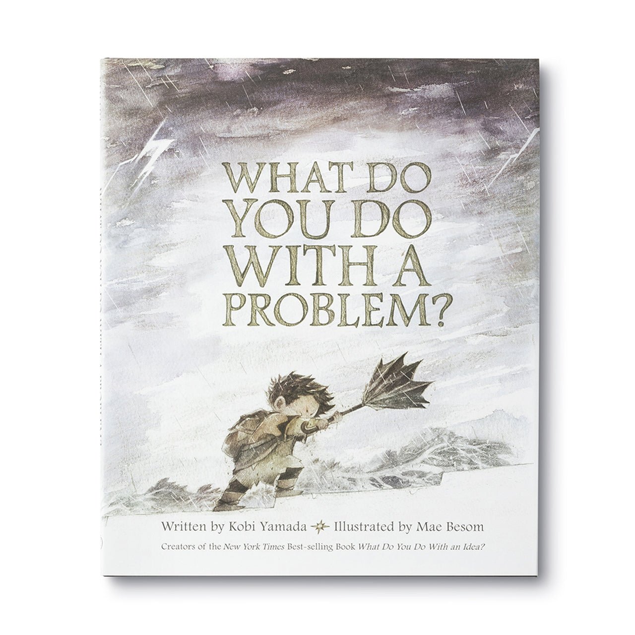 What Do You Do With A Problem - Hardcover Book - Lady of the Lake