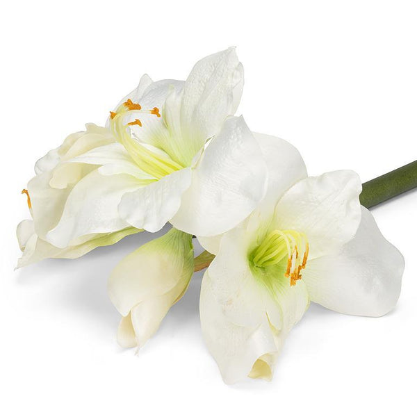 White Amaryllis Stem - Lady of the Lake