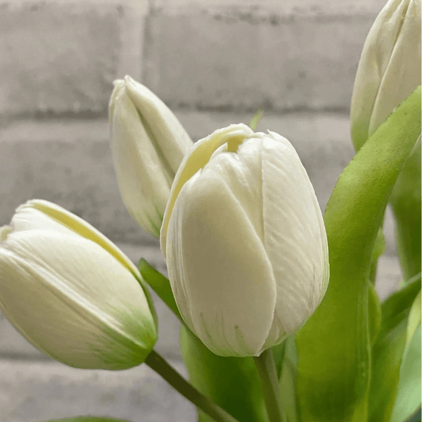 White Fresh Touch Tulip Bundle - Lady of the Lake