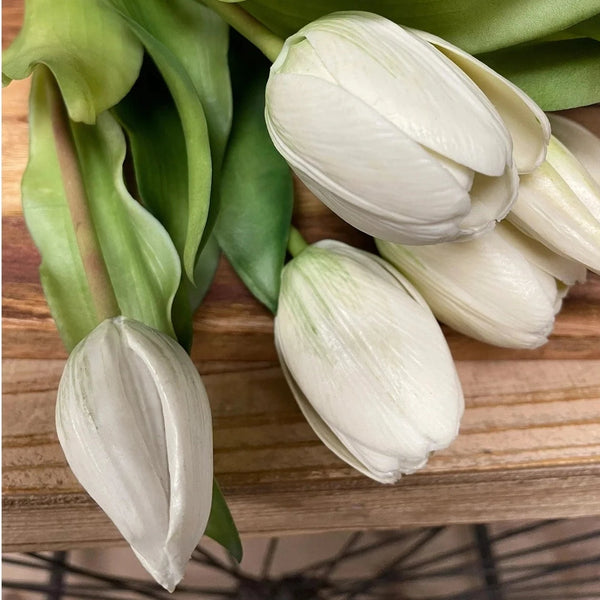 White Fresh Touch Tulip Bundle - Lady of the Lake