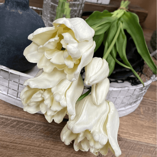 White Ruffled Parrot Fresh Touch Tulip Bundle - Lady of the Lake