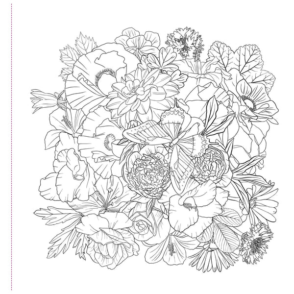 Wildflowers Artist's Colouring Book - Lady of the Lake