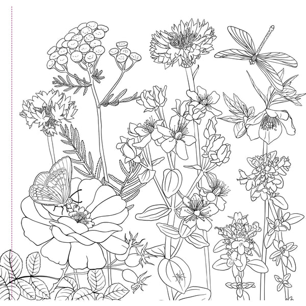 Wildflowers Artist's Colouring Book - Lady of the Lake