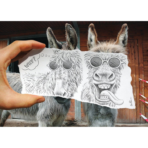 Wise Asses - Greeting Card -Birthday