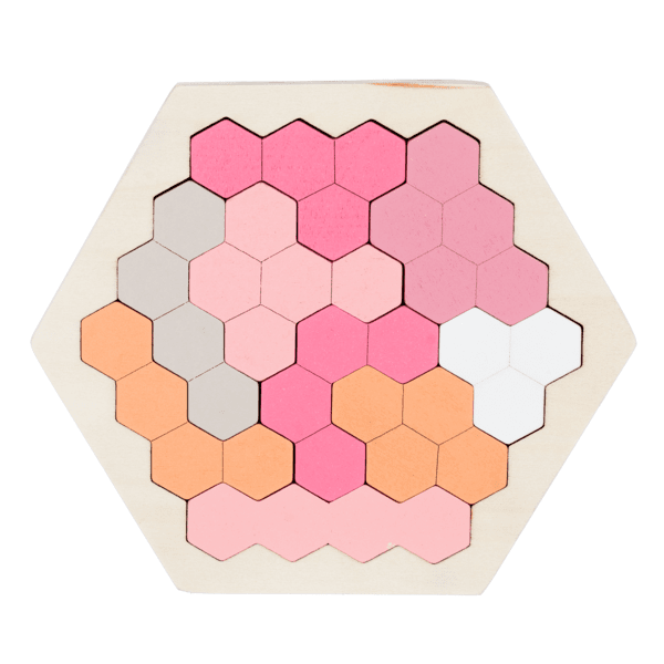 Wooden Shape Puzzle - Lady of the Lake