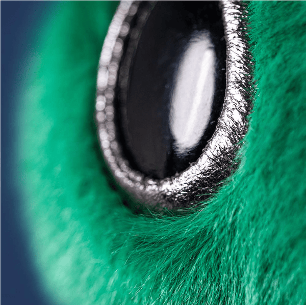 Zyllan Alien - Lady of the Lake