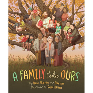 A Family Like Ours - Hardcover Book