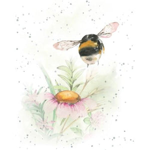 A Soft Landing - Enclosure Greeting Card - Blank