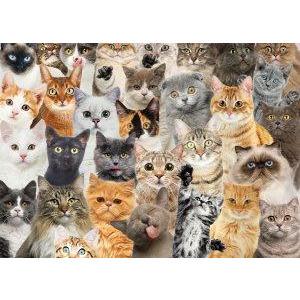 All The Cats Puzzle