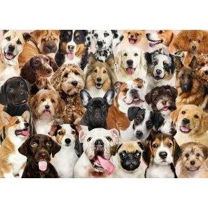 products/all-the-dogs-puzzle-726648.jpg
