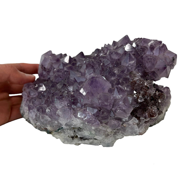 Amethyst Druzy - X-Large Crystal Cluster - Stone of Peace