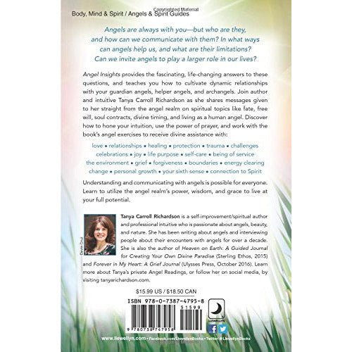 Angel Insights - Paperback Book